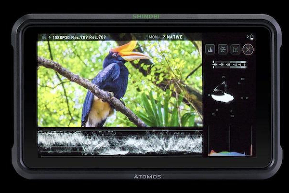 Location ATOMOS Shinobi 5″ HDMI HDR - Lightyshare