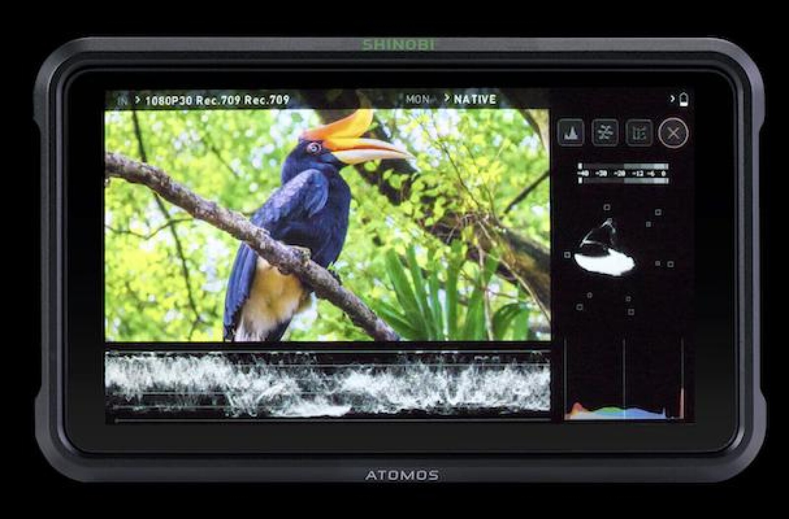 ATOMOS Shinobi 5″ HDMI HDR - Photo 1 sur 4