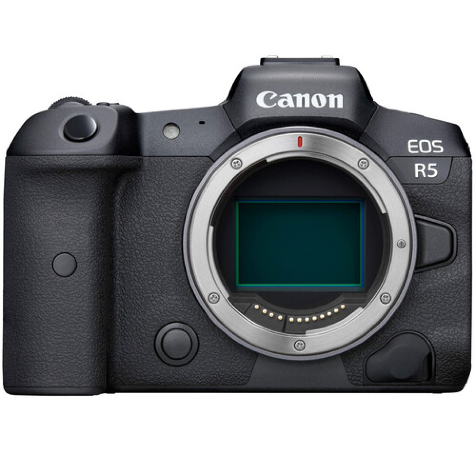 Canon EOS R5 mark I - Photo 1 sur 3