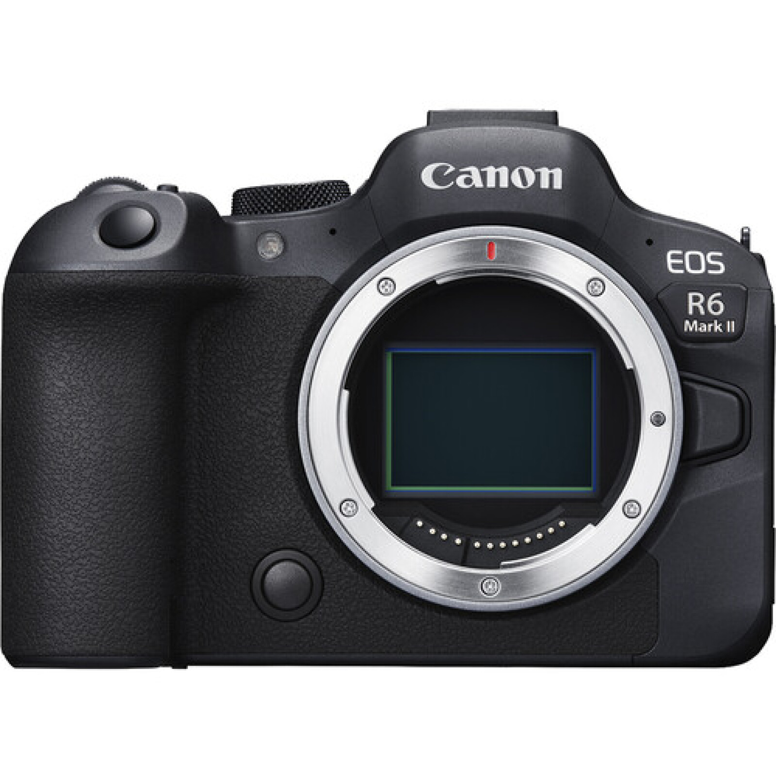 Canon EOS R6 Mark II - Photo 1 sur 3