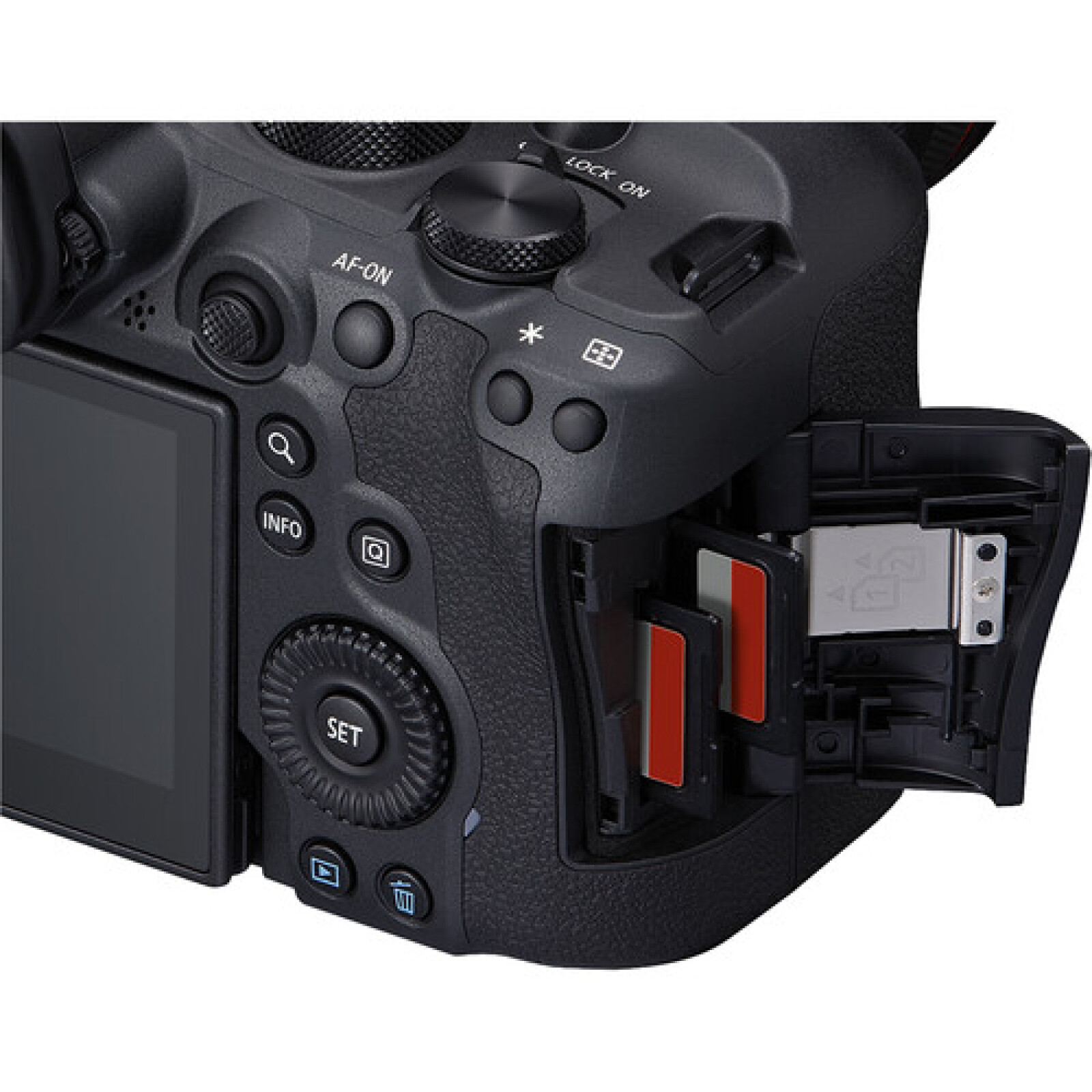Canon EOS R6 Mark II - Photo 3 sur 3