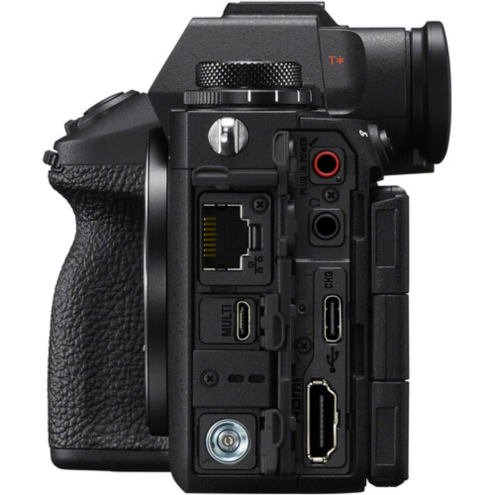 Sony Alpha 1 II - Photo 4 sur 6