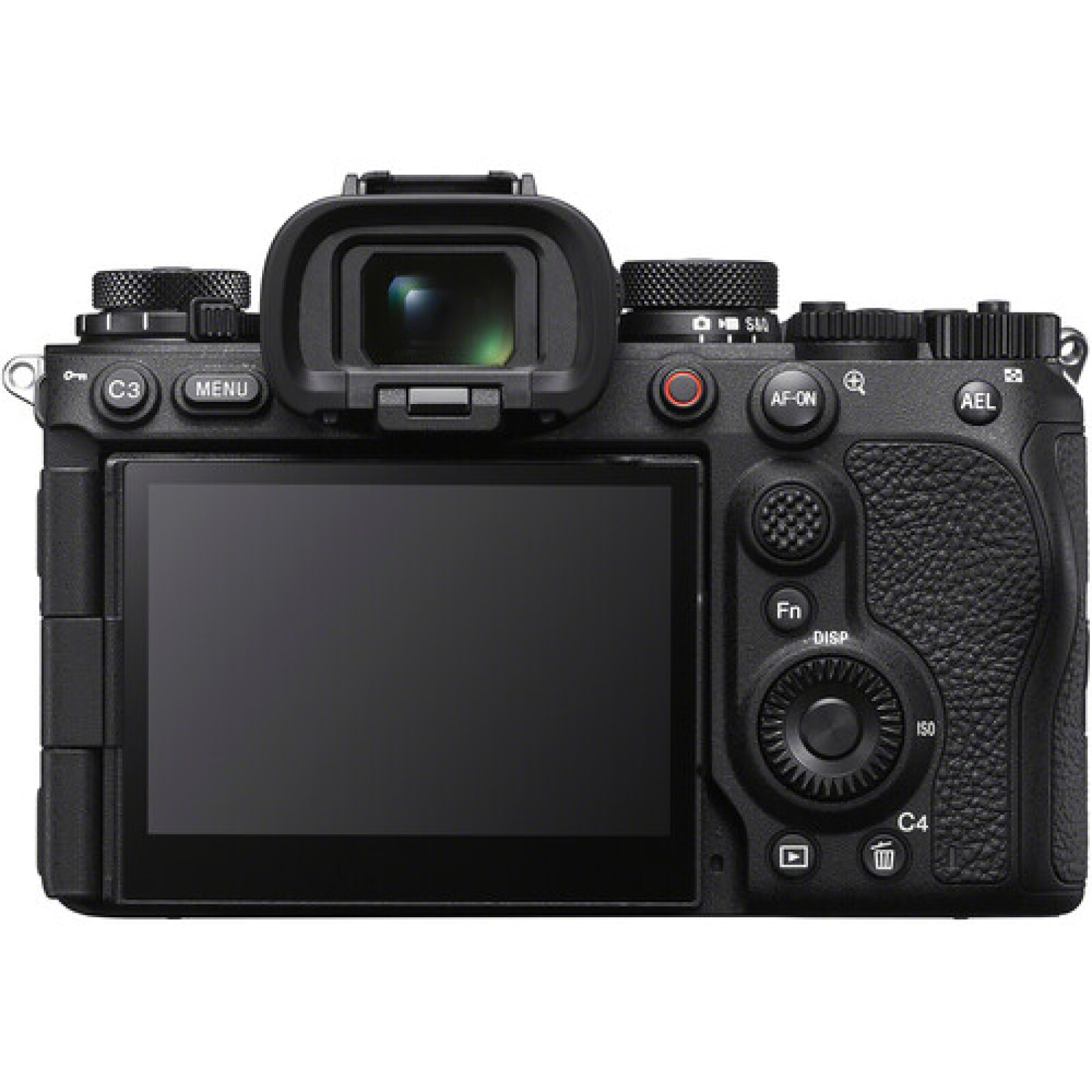 Sony Alpha 1 II - Photo 2 sur 6
