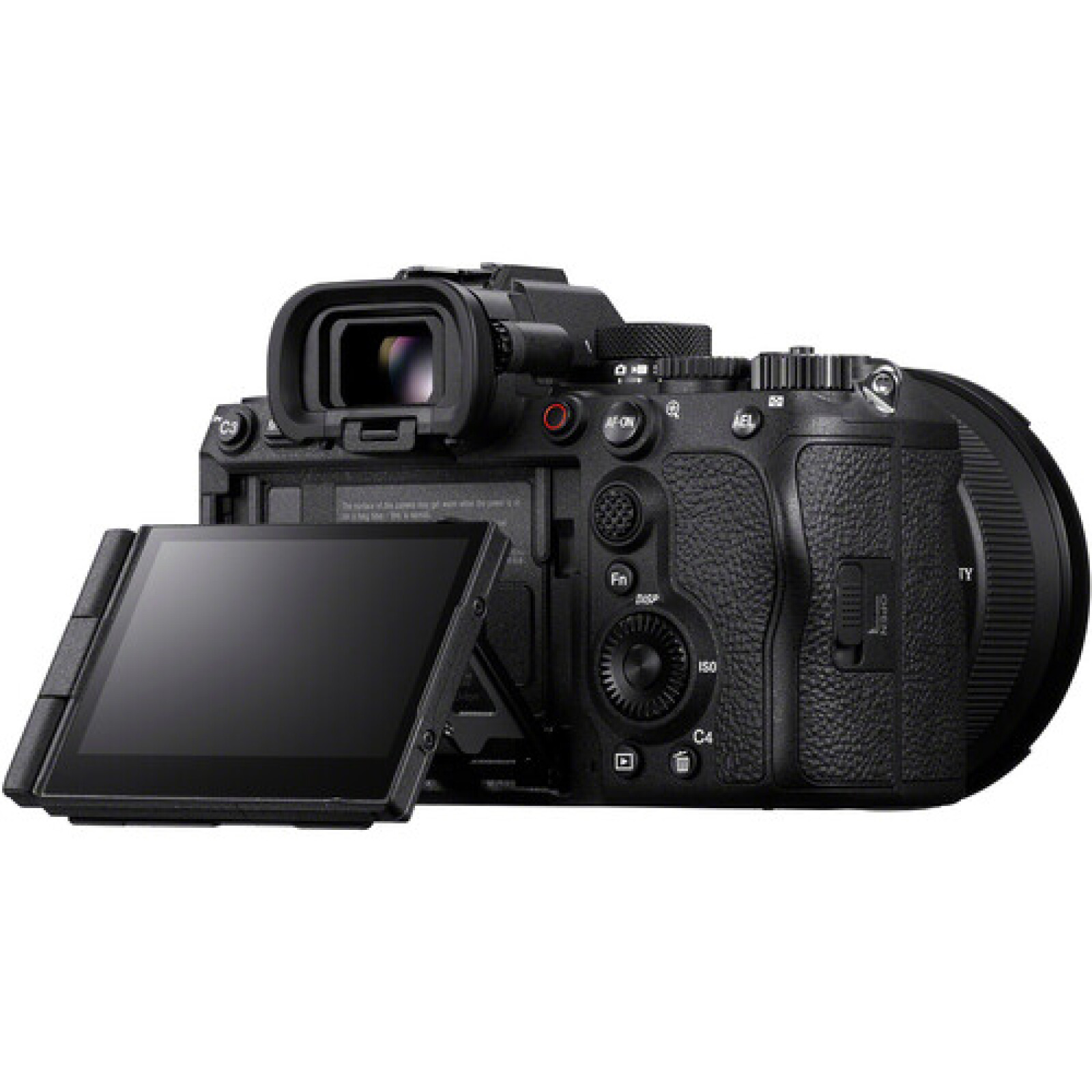 Sony Alpha 1 II - Photo 5 sur 6