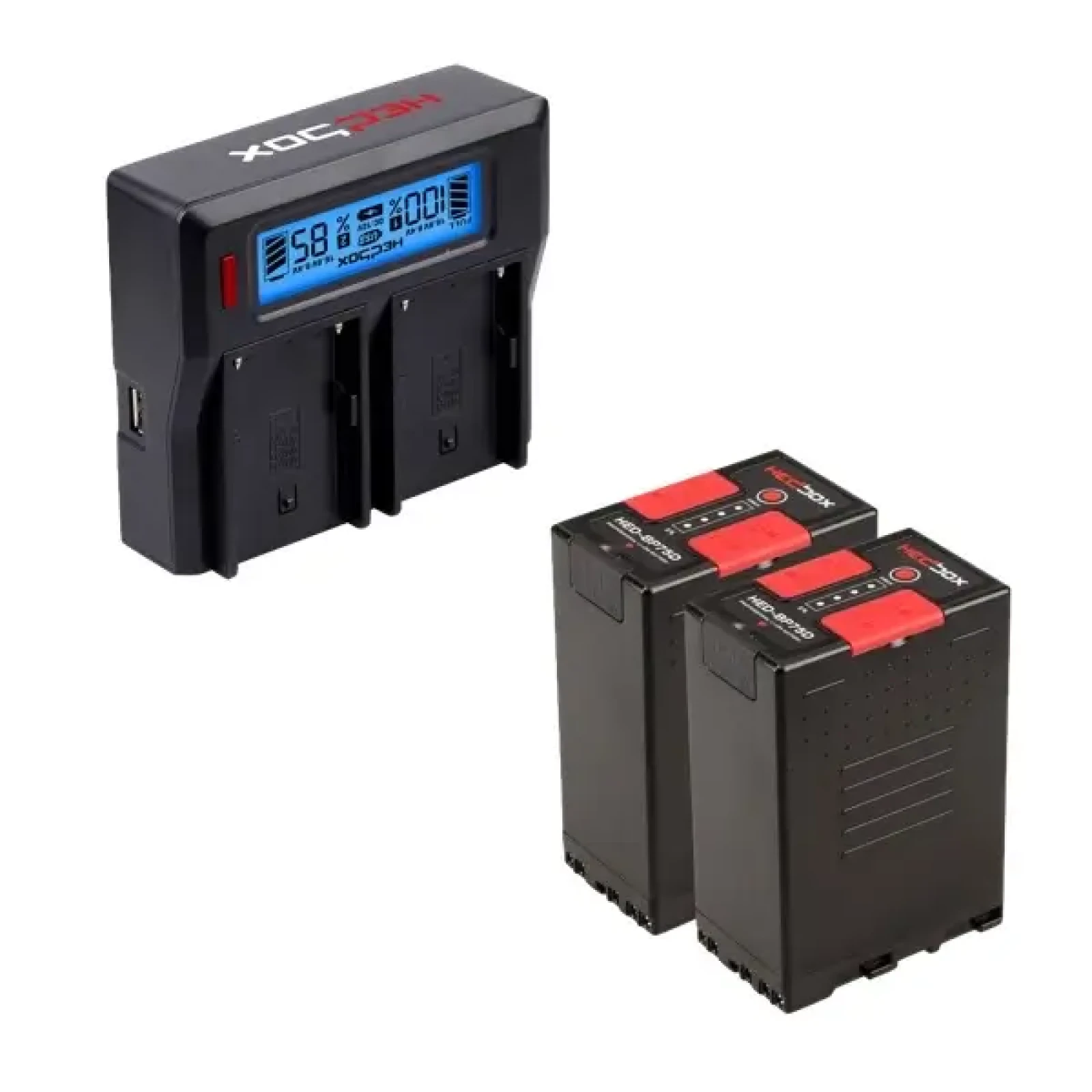 Pack 2 batteries BP-U75 avec chargeur - Photo 1 sur 1