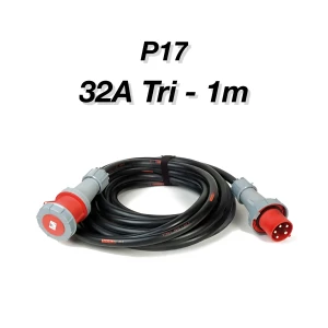 Location Ligne P17 32A Tri - 1m