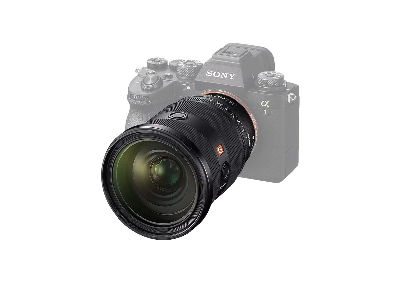 Sony FE 24-70mm f/2.8 GM II - Photo 3 sur 3