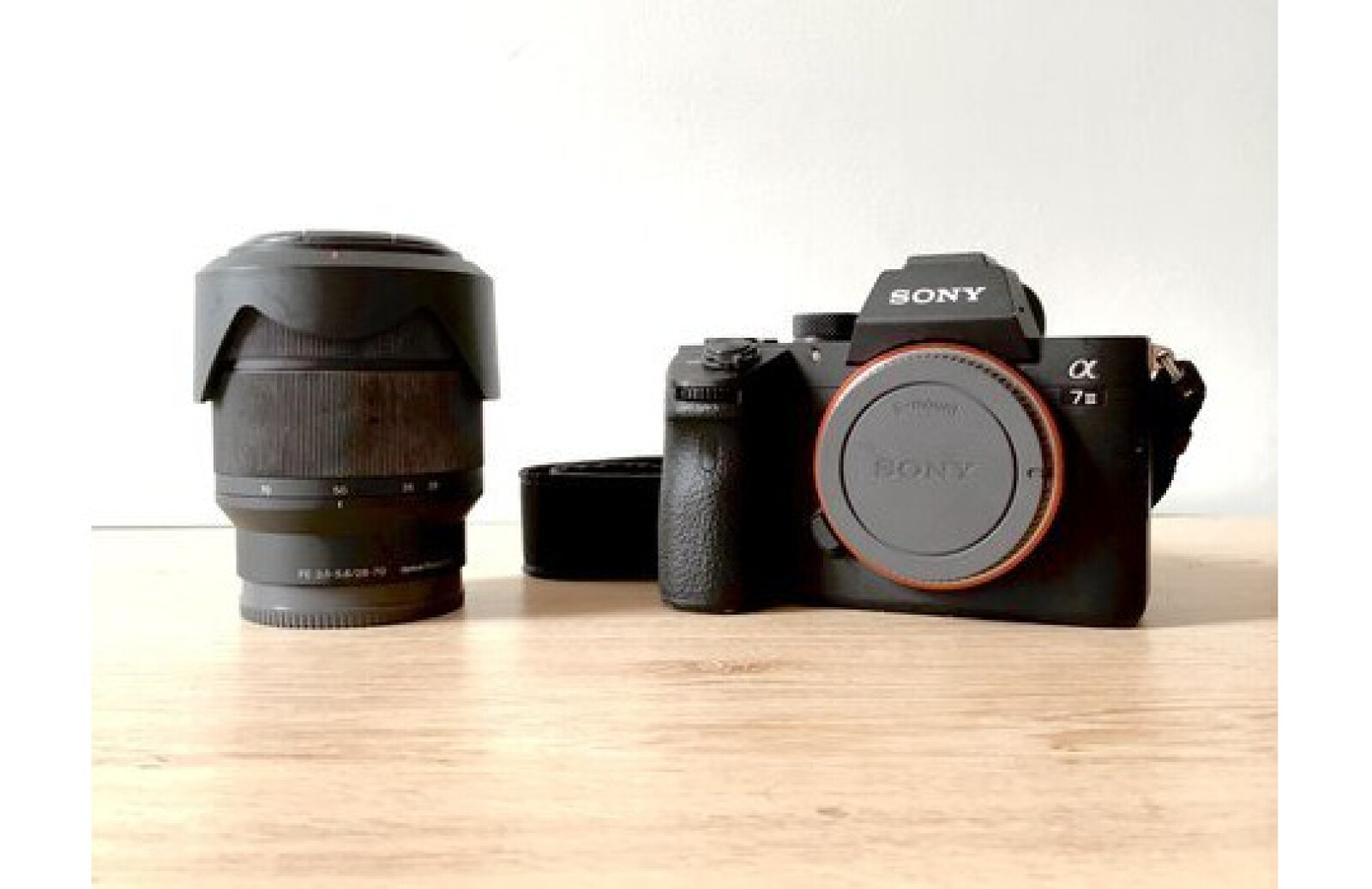 Sony Alpha 7 III (A73) - Photo 1 sur 1
