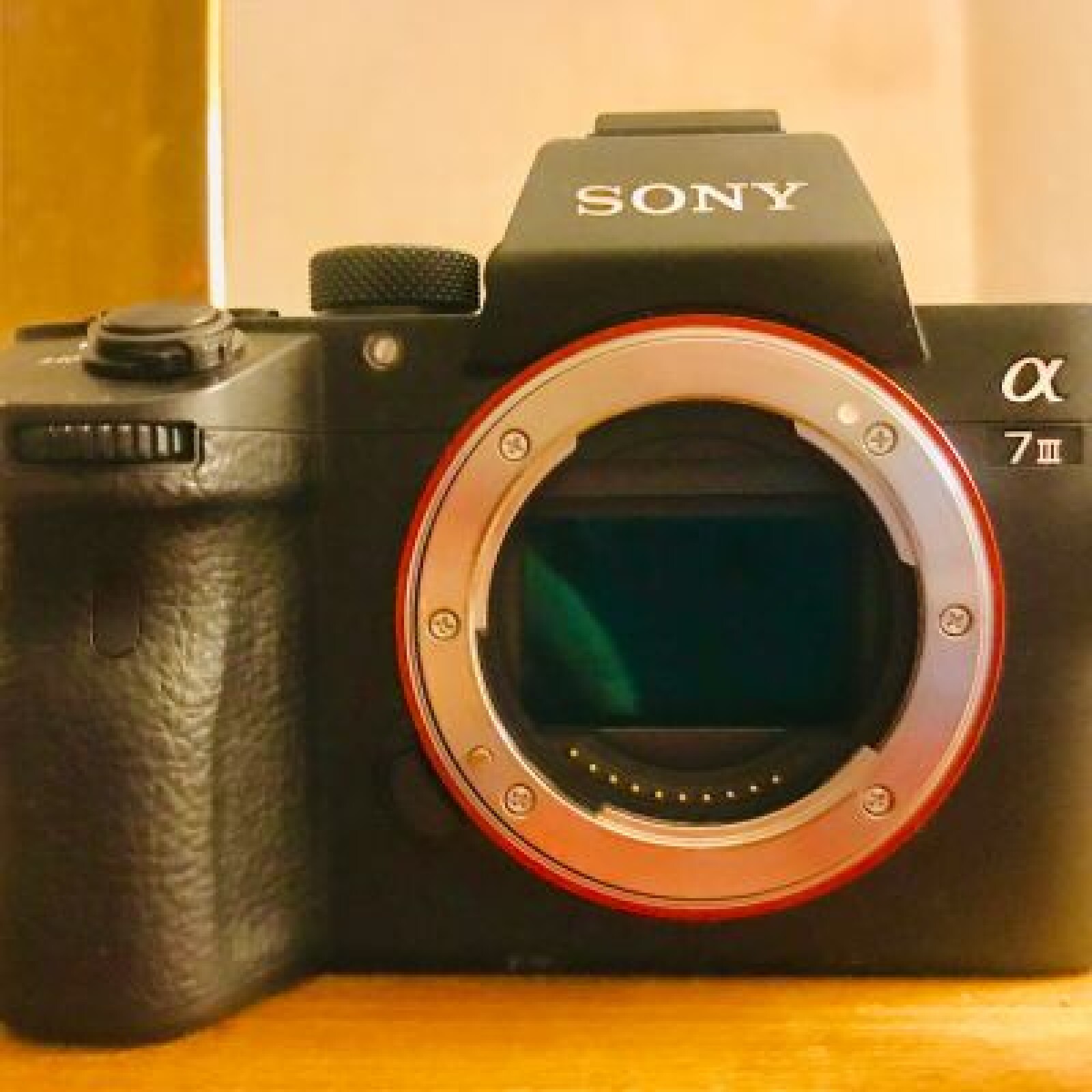 SONY ALPHA 7 III + SONY 24-105 mm F4 + micro røde - Photo 1 sur 3