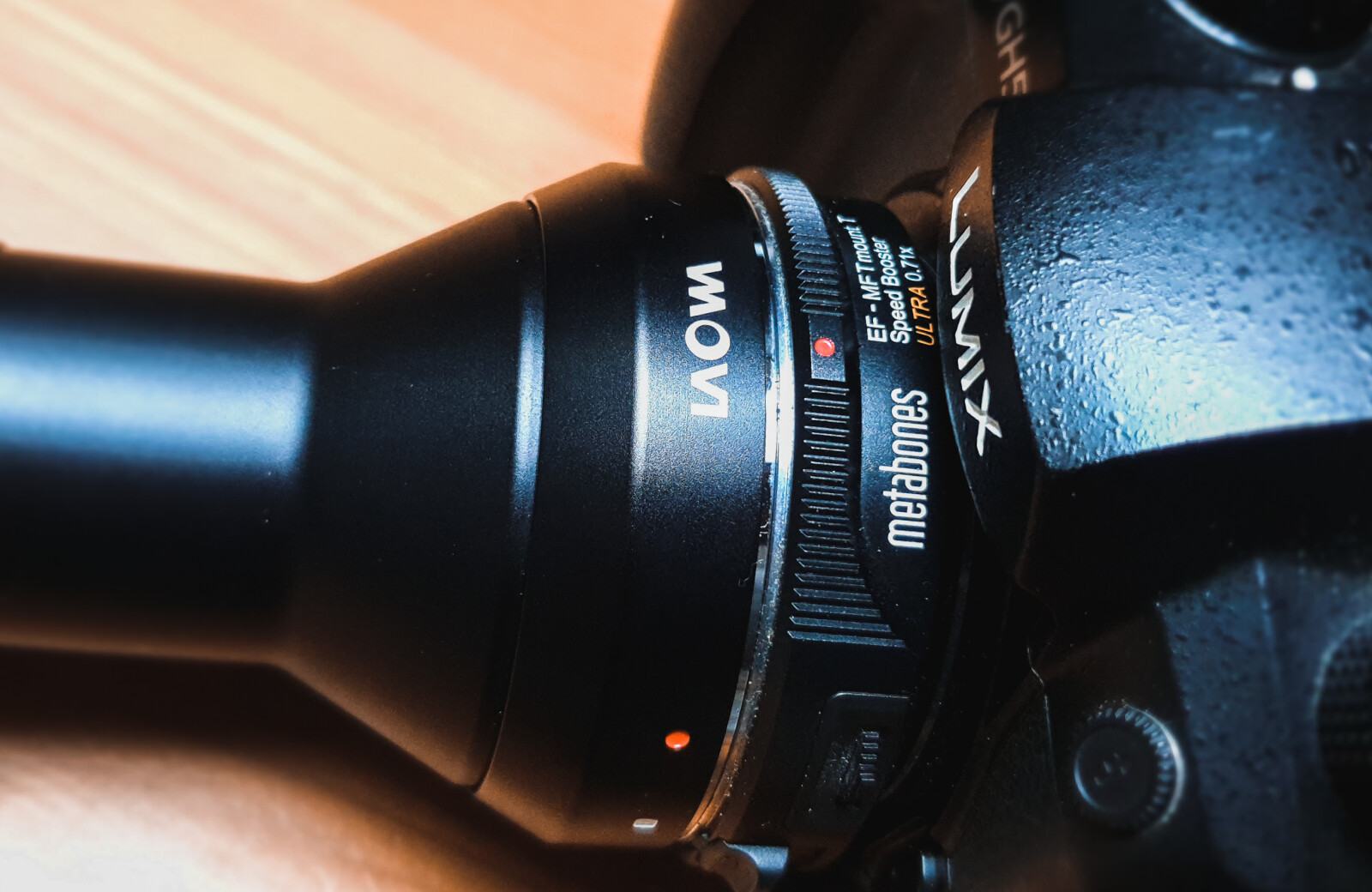 LAOWA 24mm Macro f/14 - Monture EF - Photo 3 sur 6