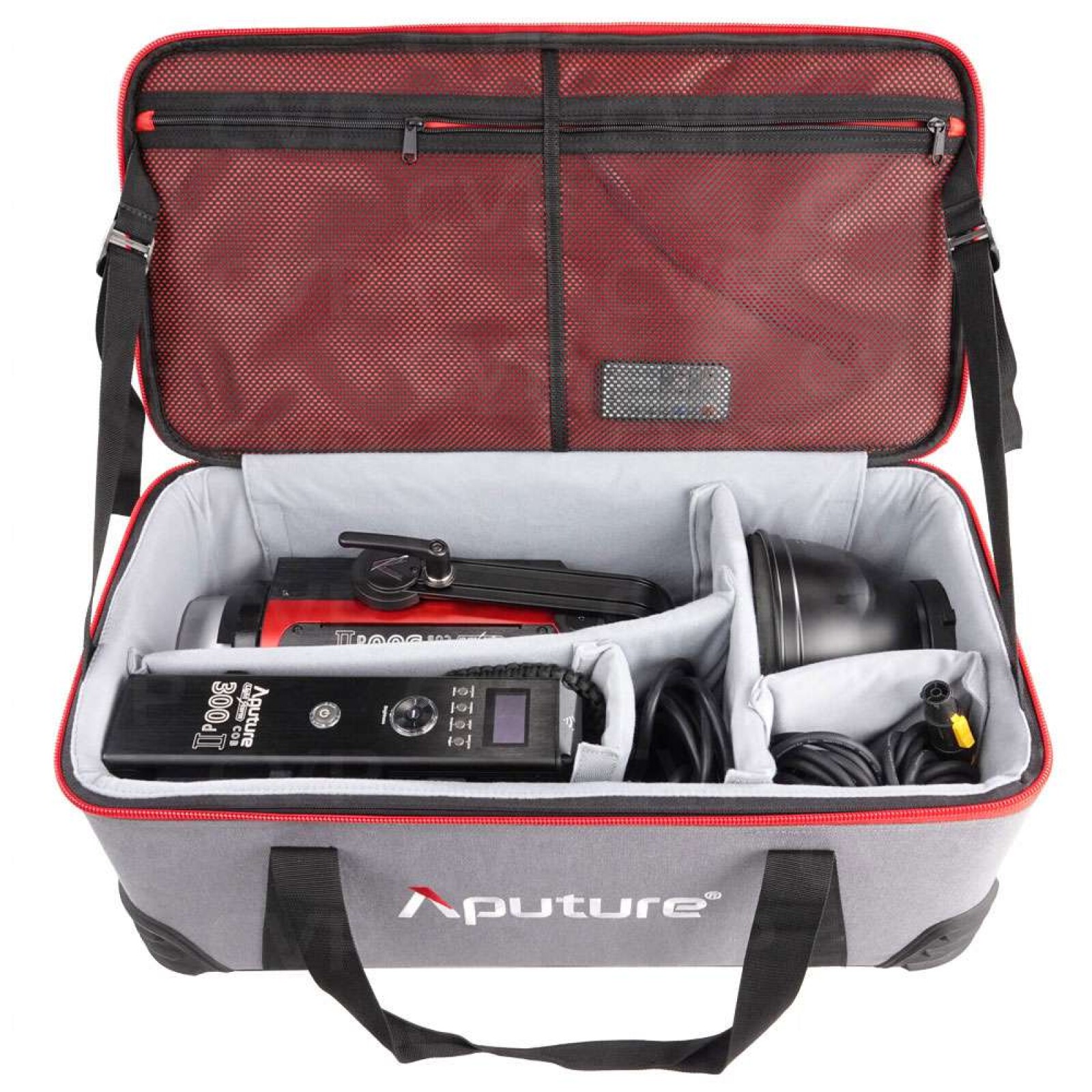 Pack 2 Aputure cob 300 mark 2 + 2 light dome - Photo 2 sur 2