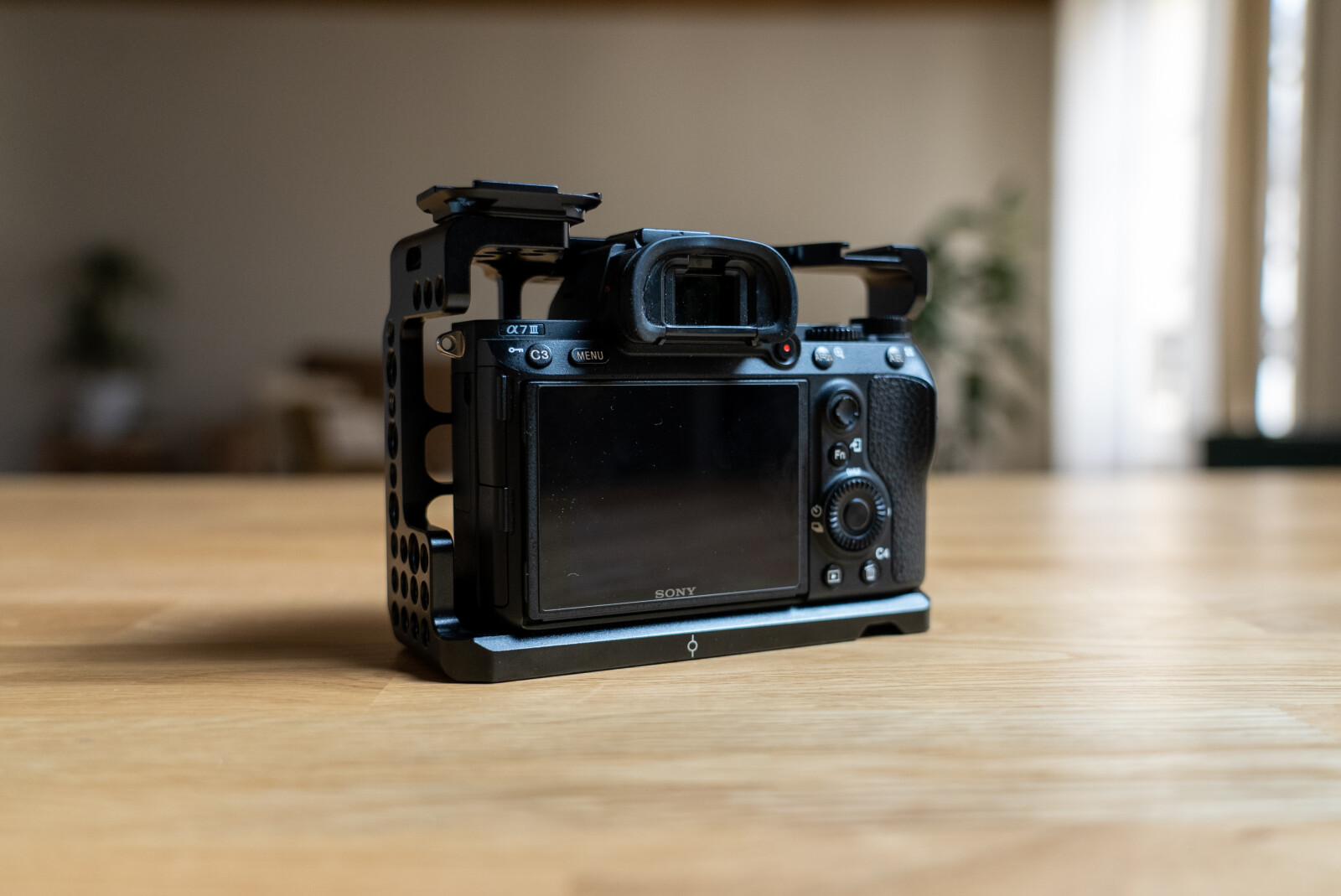 Sony Alpha 7 III (A73) - Photo 4 sur 4