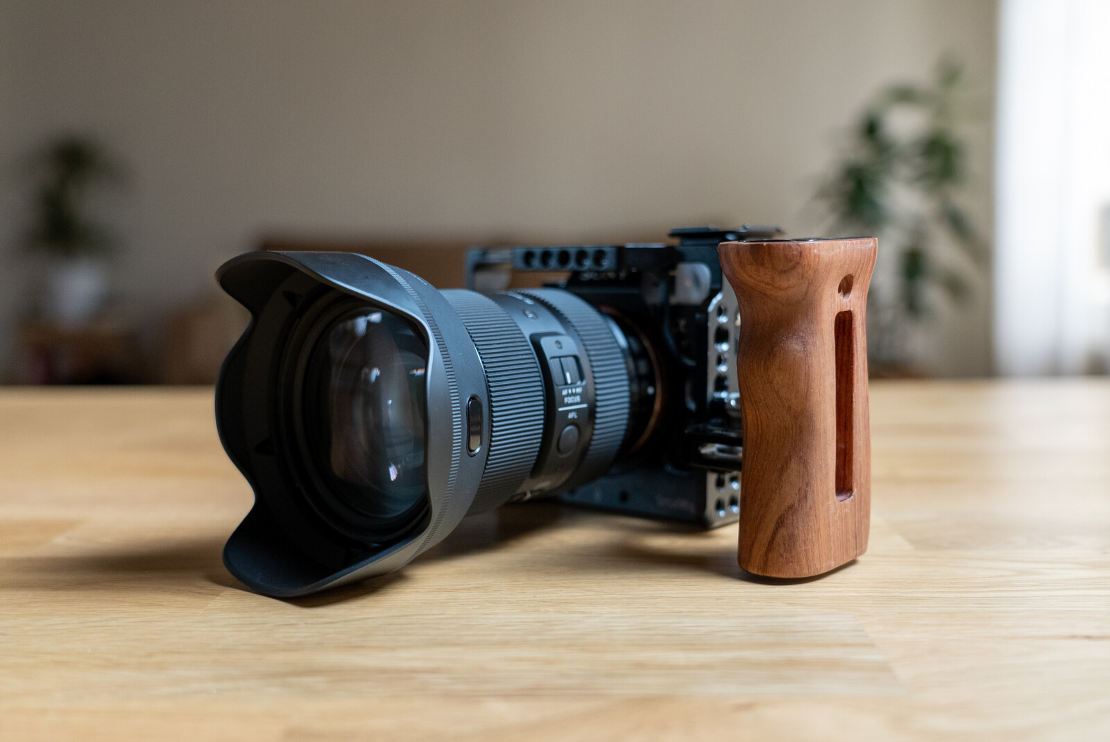 Sony Alpha 7 III (A73) - Photo 1 sur 4