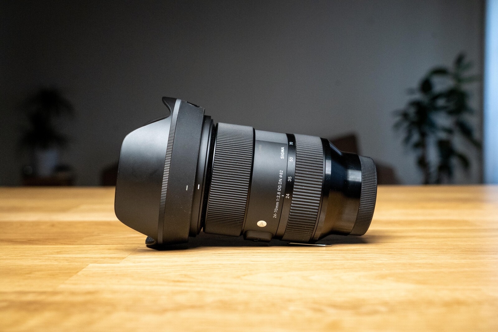 Sigma 24-70mm f/2.8 Art DG OS HSM - Photo 3 sur 3