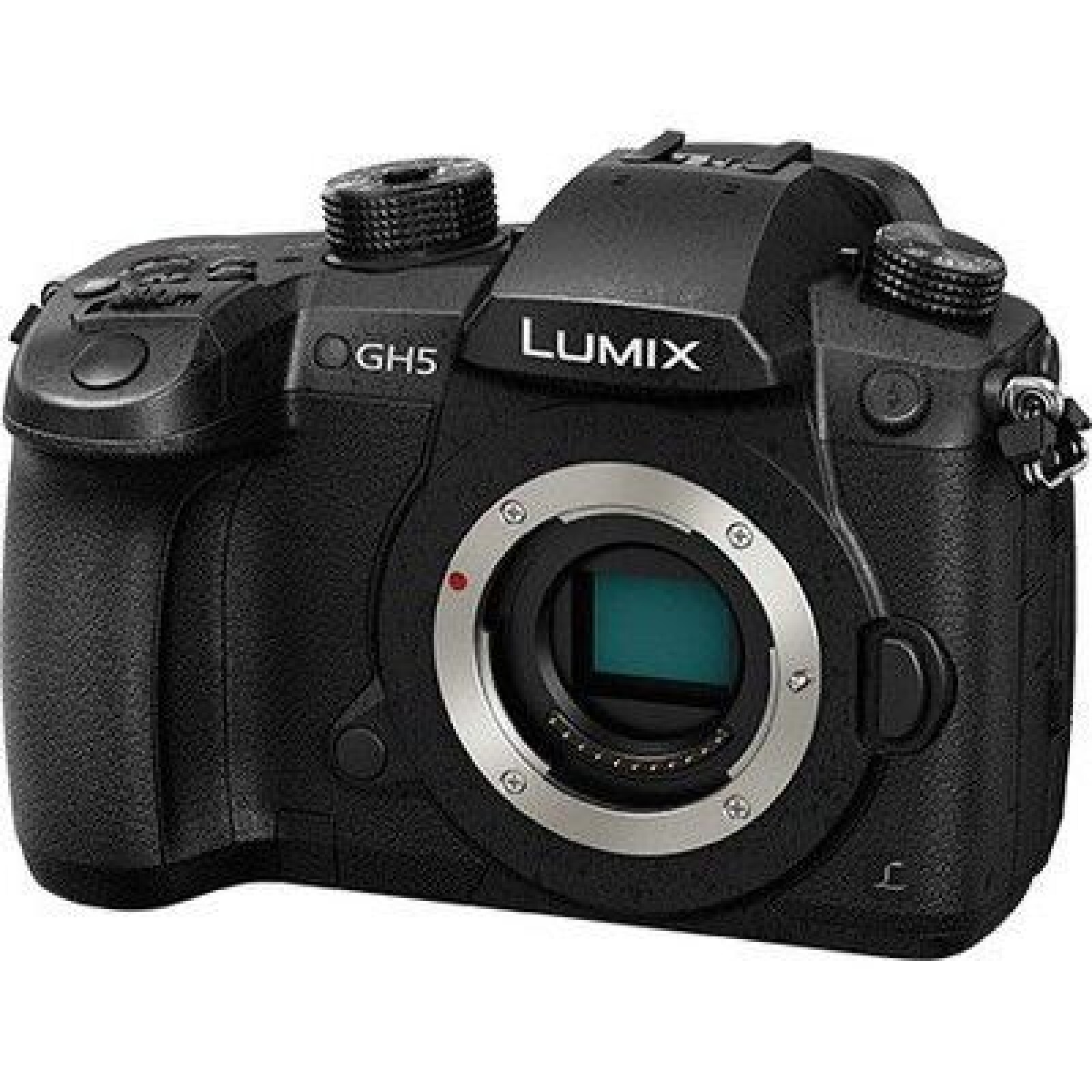 Lumix GH5 / Vlog - Photo 1 sur 1