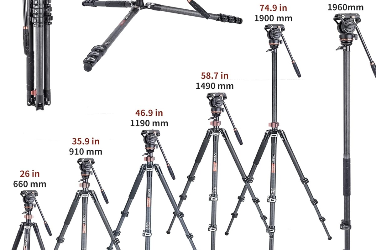 Location Trépied Cayer CF2451 en fibre de carbone - Lightyshare