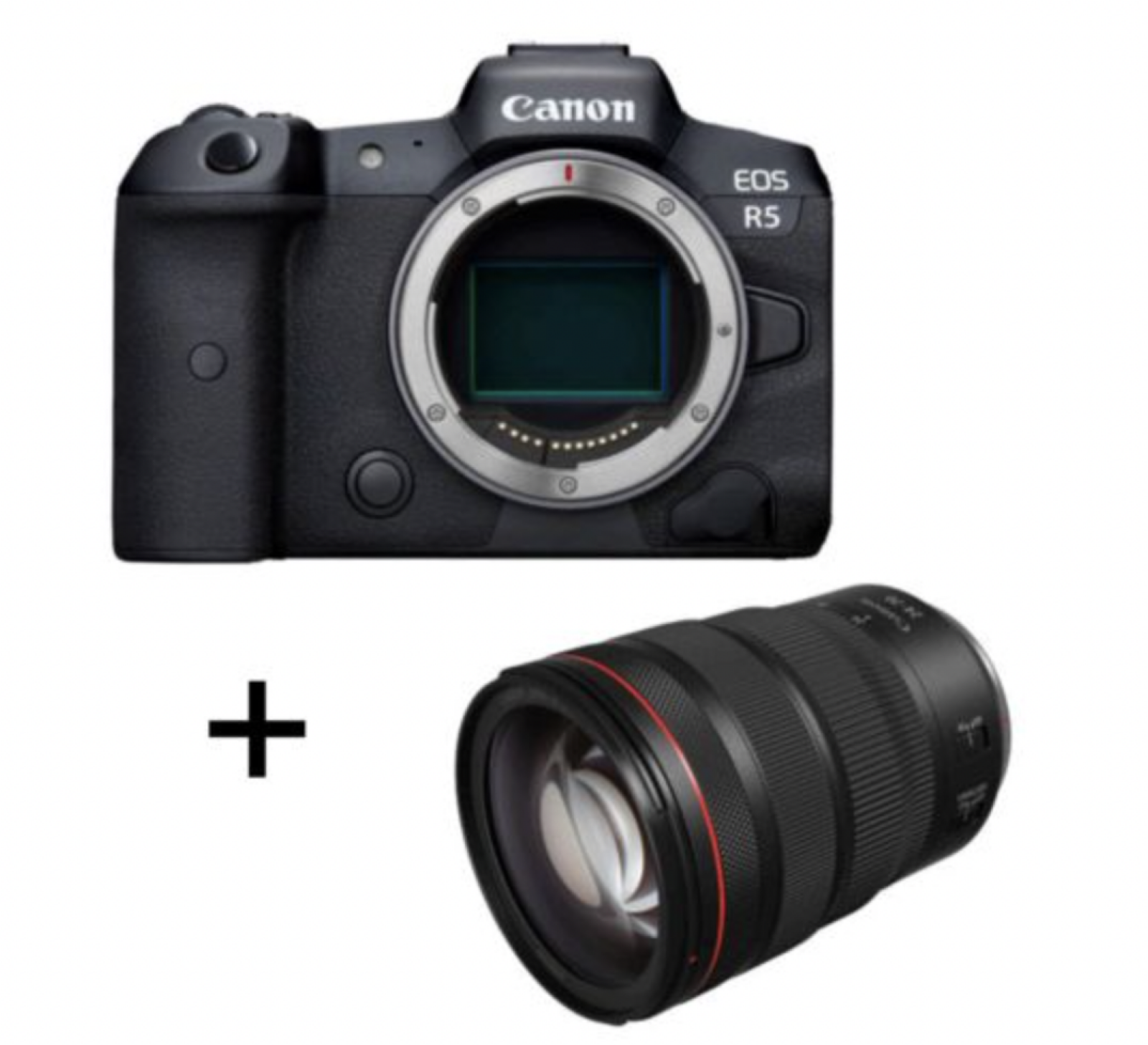Canon EOS R5 - Photo 1 sur 1