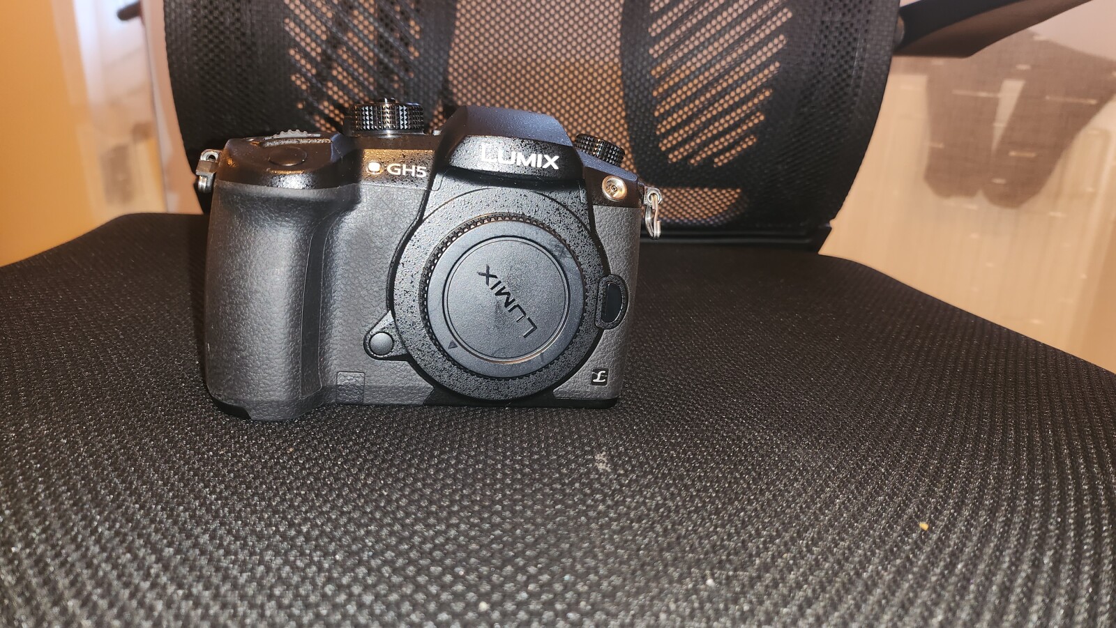 Panasonic LUMIX GH5 - Photo 1 sur 1