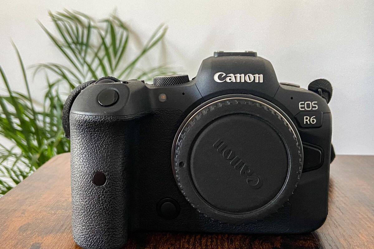Location Canon EOS R6 + bague RF to EF - Lightyshare