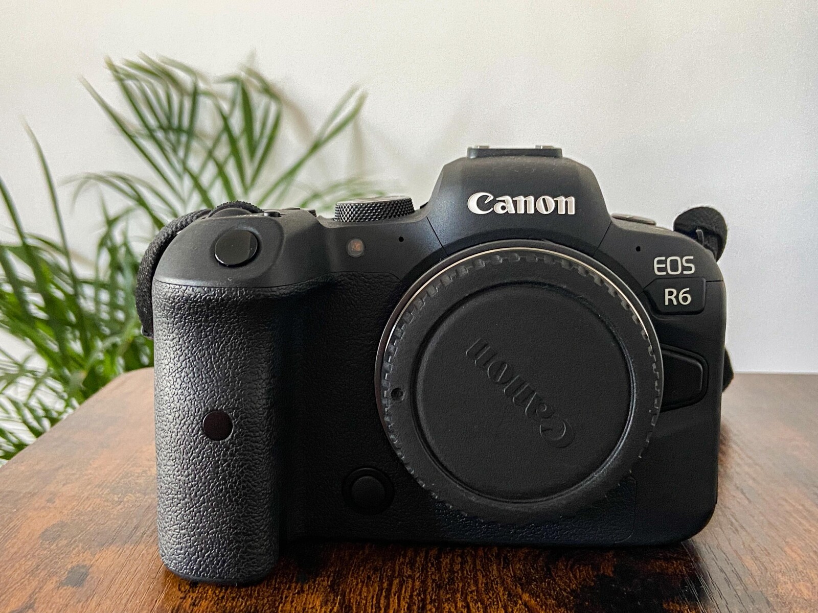 Canon EOS R6 + bague RF to EF - Photo 1 sur 2