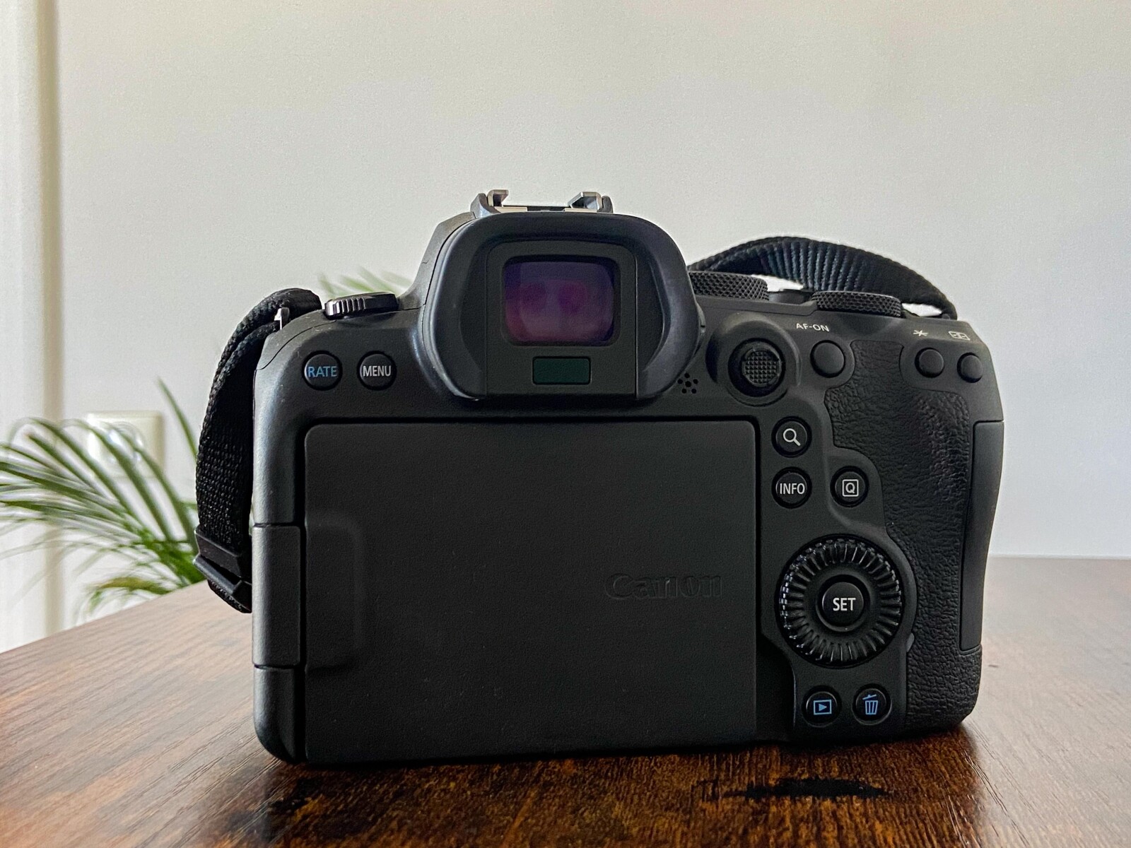 Canon EOS R6 + bague RF to EF - Photo 2 sur 2