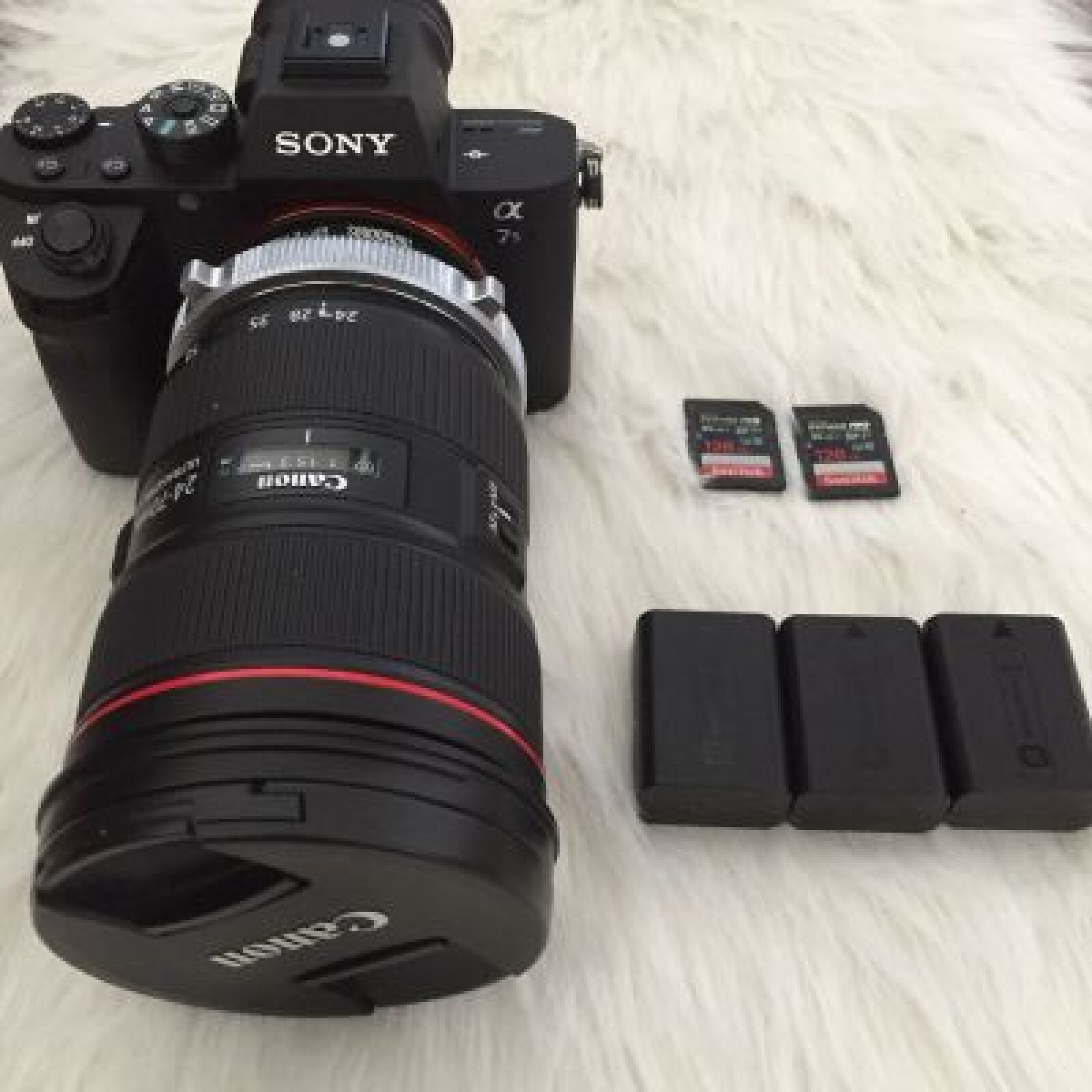 Sony A7sII + Objectif 24-70mm f/2.8 L - Photo 1 sur 4