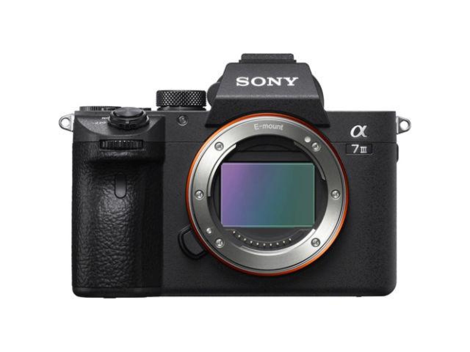 Caisson Nauticam et sony alpha 7 iii - Photo 3 sur 4