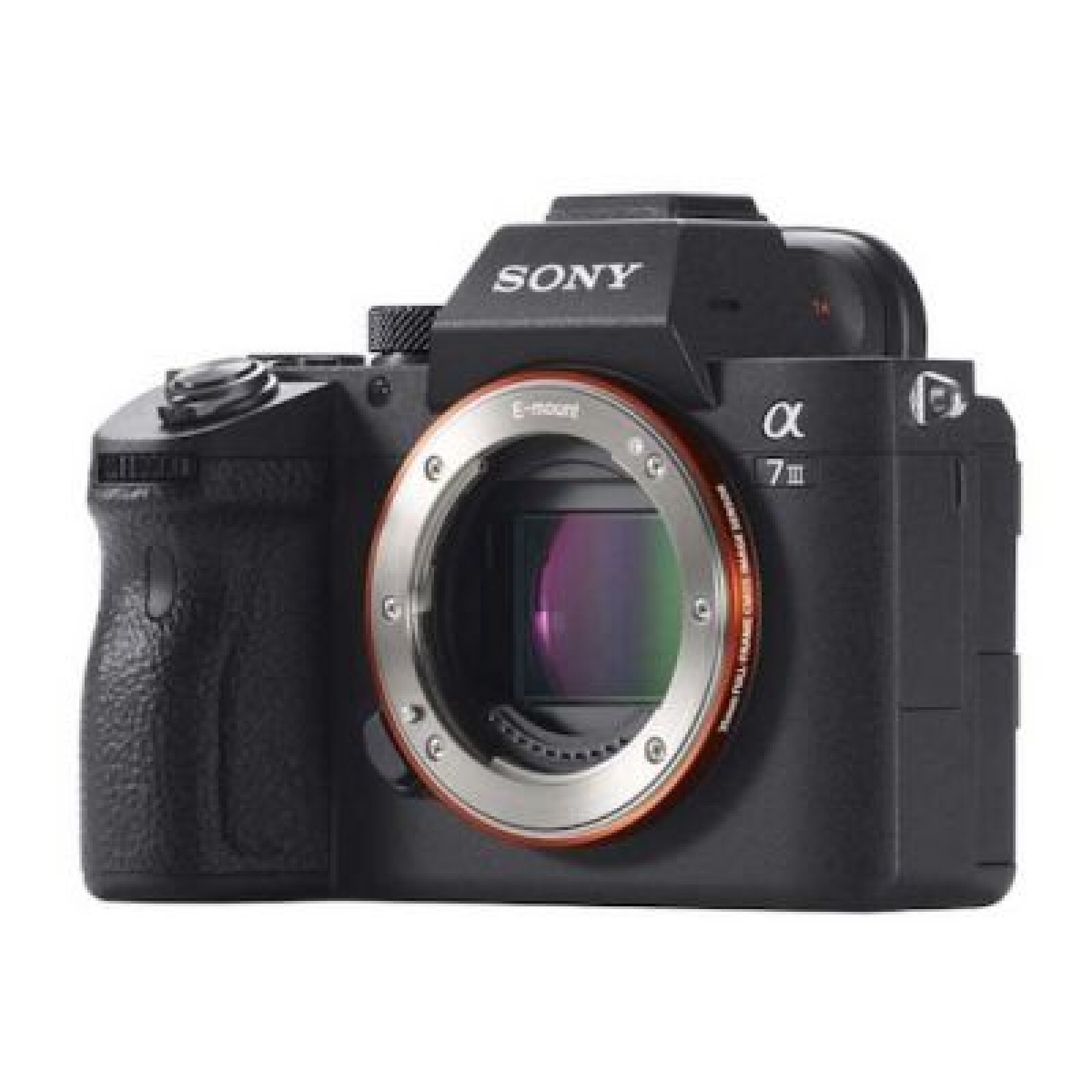 Sony A7III + objectif au choix - Photo 1 sur 3