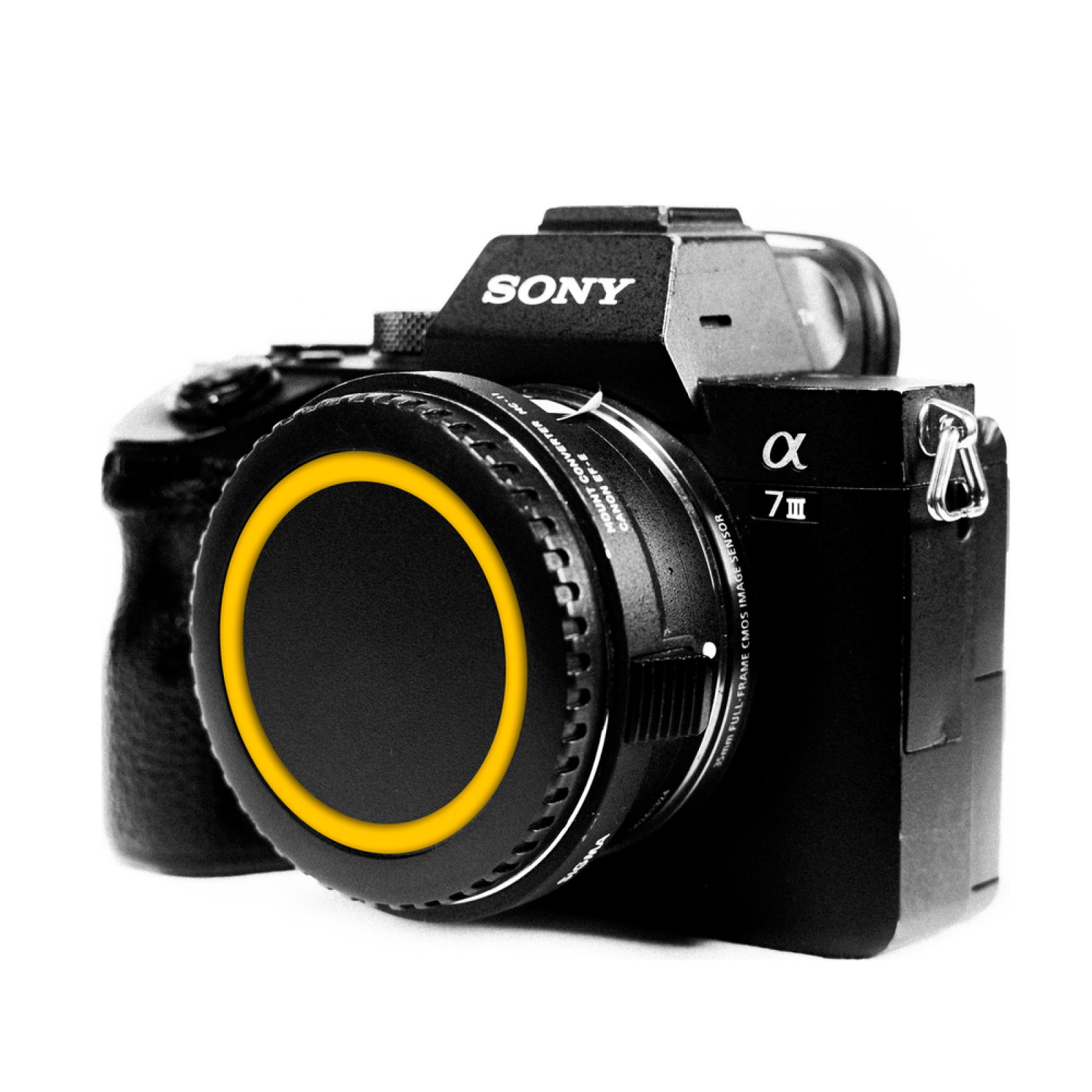 Sony Alpha 7 III - Photo 1 sur 1
