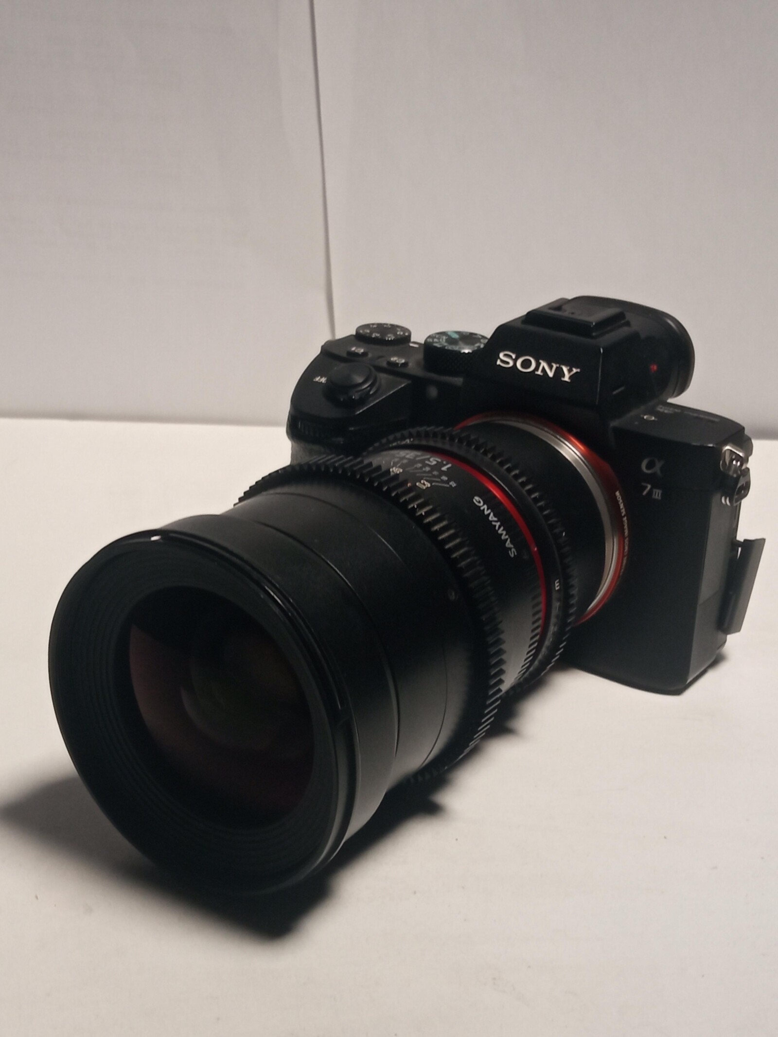 Sony Alpha 7 III  - Photo 1 sur 1