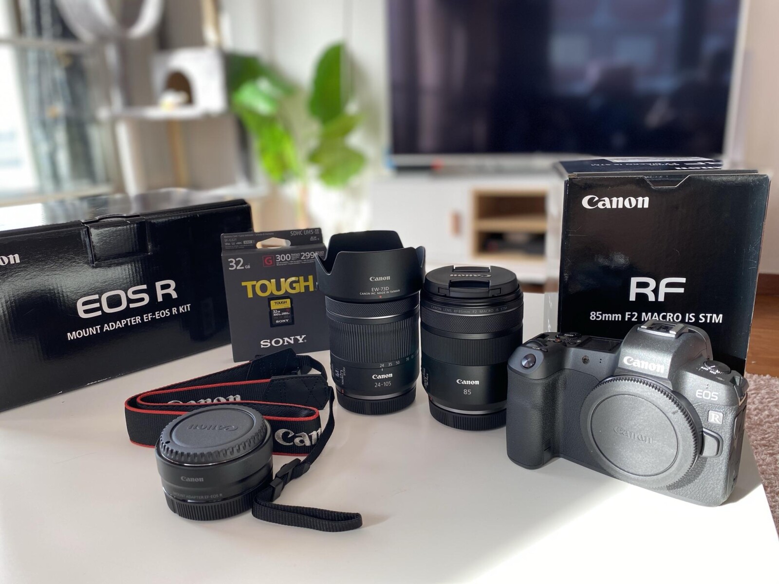 EOS R + 85MM + 24-105 + Carte + Sac + Trepied - Photo 1 sur 2