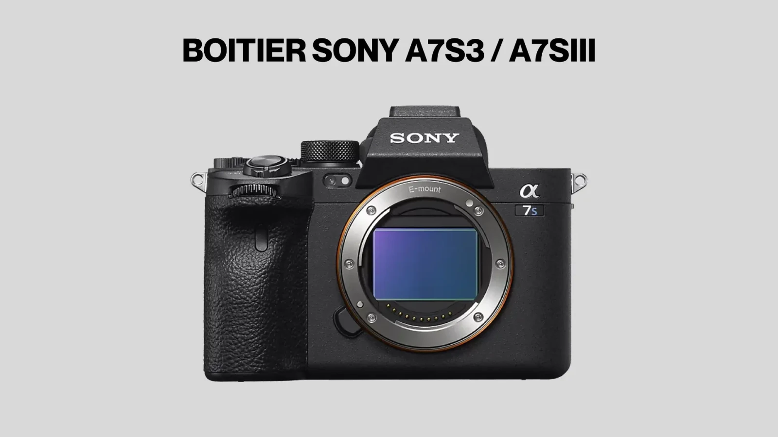 Sony Alpha 7S III (A7S3) - Photo 1 sur 7
