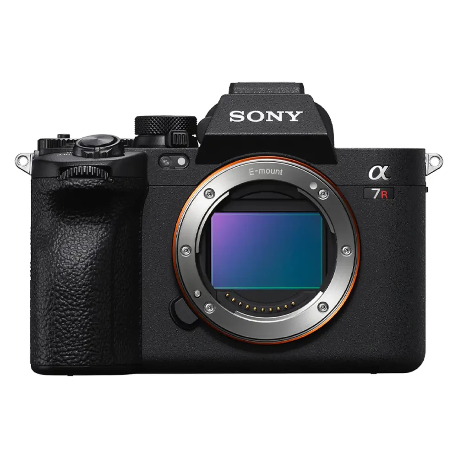 Sony A7R V - Photo 1 sur 1
