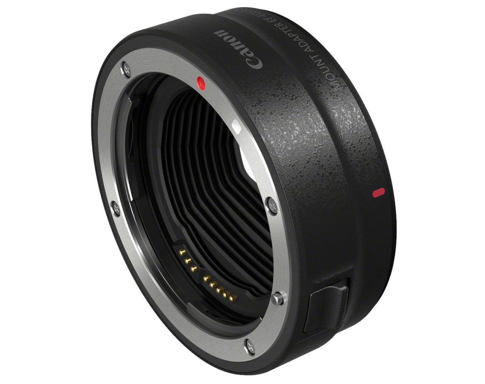 Canon EOS R shooting kit  - Photo 4 sur 5