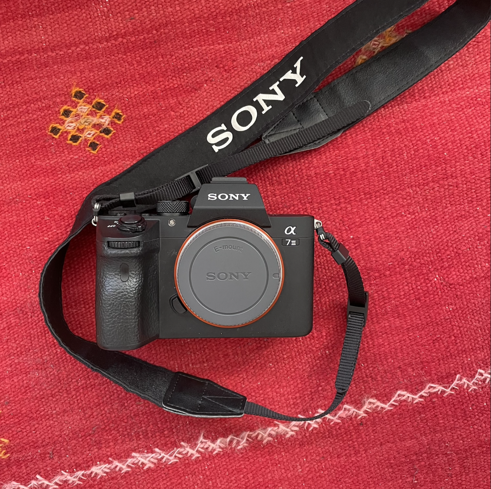 Sony Alpha 7 III + 50mm f/1.8 + 28mm f/2 - Photo 1 sur 3