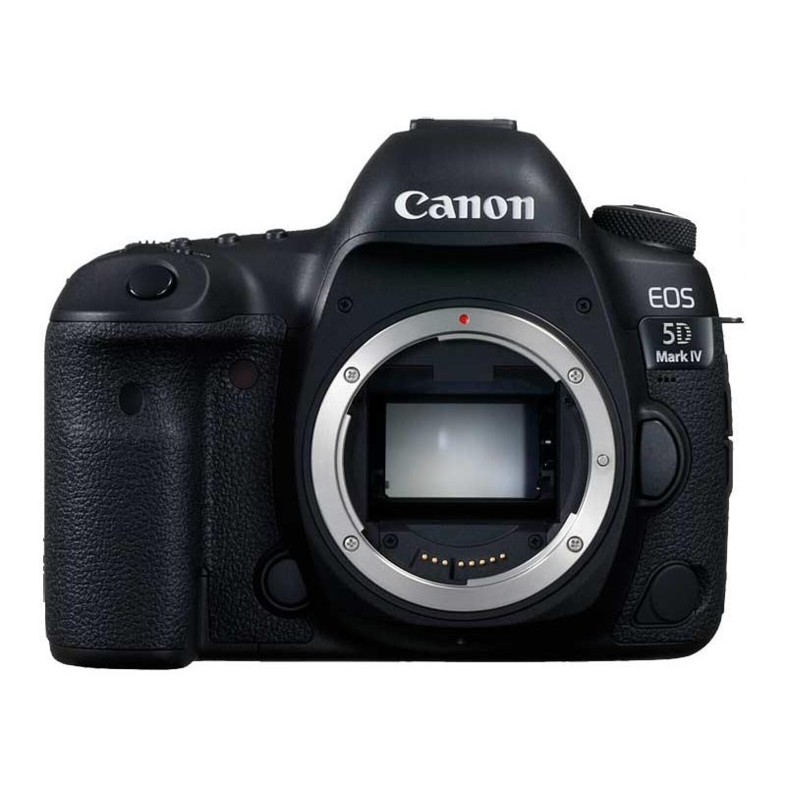 Canon 5D Mark IV - Photo 1 sur 1