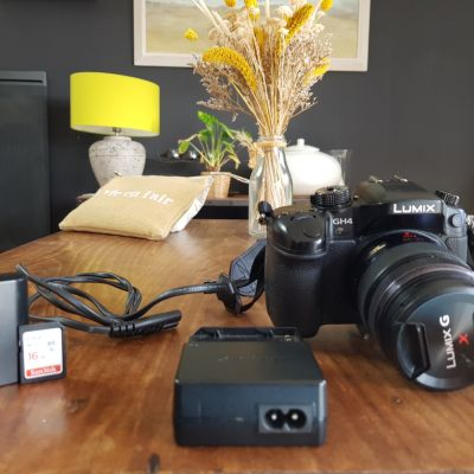 Panasonic Lumix GH4 + Objectif 12 - 60 mm - Photo 1 sur 3