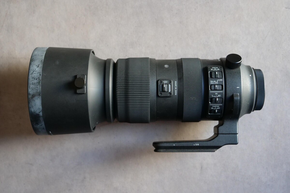 Location Sigma 60-600mm f/4.5-6.3 DG OS HSM - Lightyshare