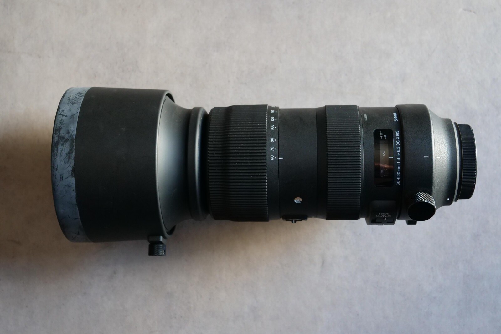 Sigma 60-600mm f/4.5-6.3 DG OS HSM - Photo 4 sur 4