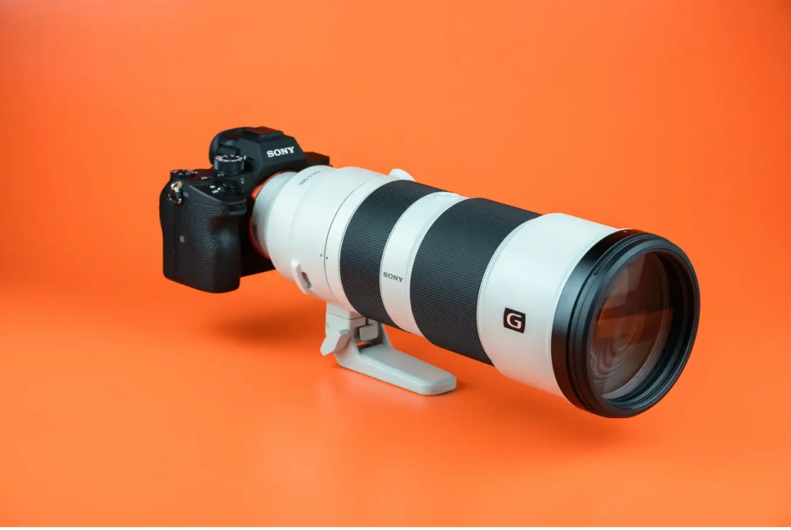 Sony FE 200-600mm f/5.6-6.3 G OSS - Photo 1 sur 1