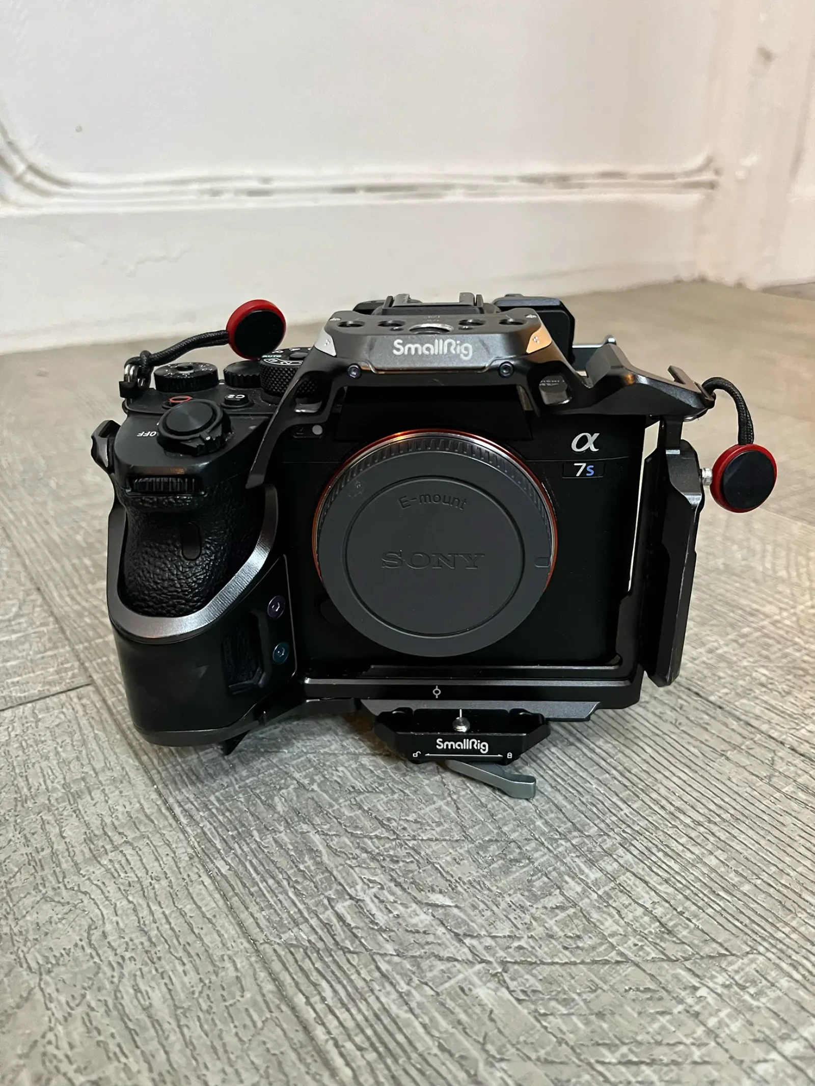 Sony Alpha 7S III (A7S3) - Photo 1 sur 3