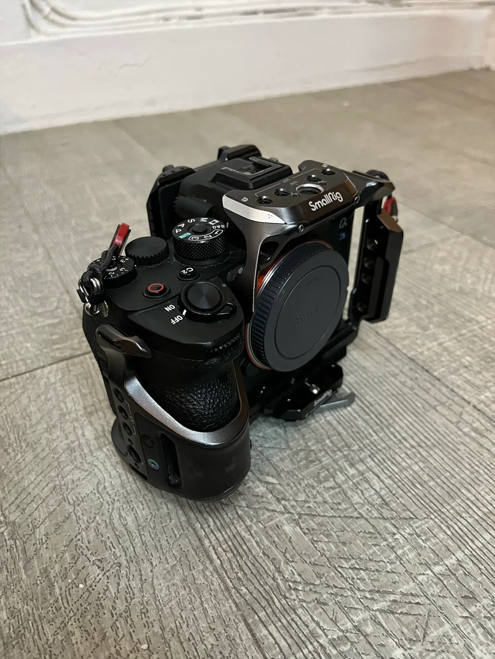 Sony Alpha 7S III (A7S3) - Photo 2 sur 3