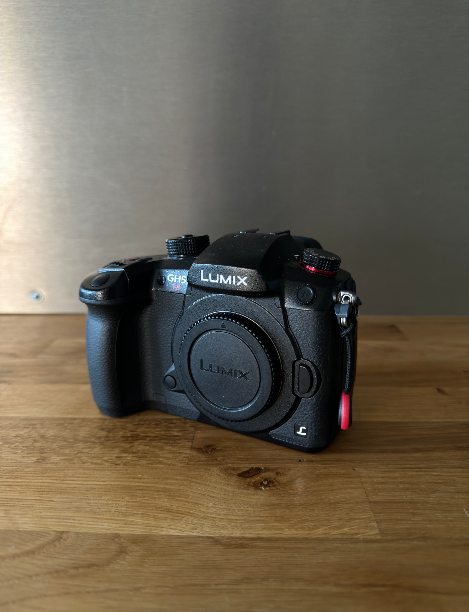 Panasonic LUMIX GH5S - Photo 1 sur 2