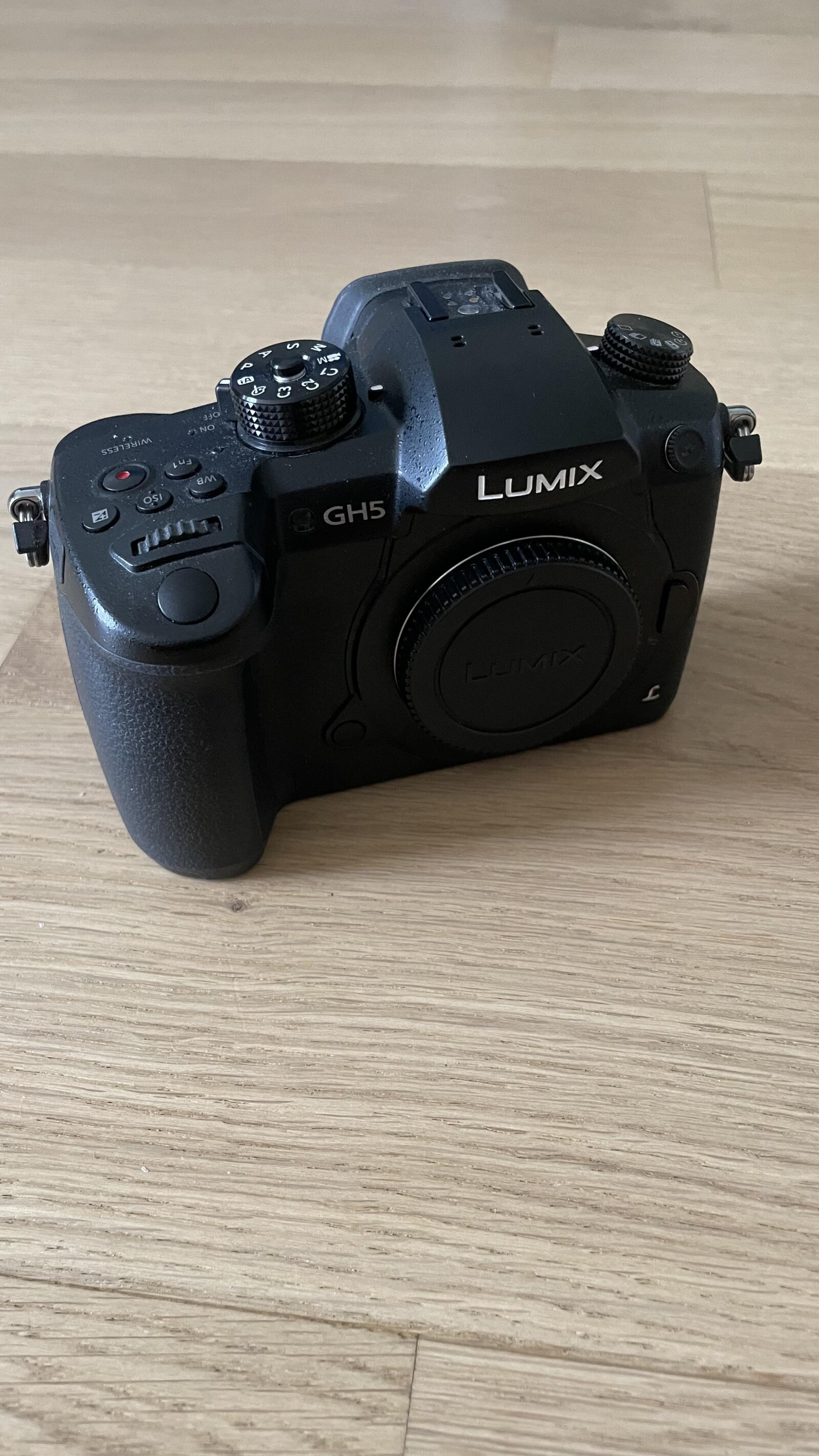 Panasonic lumix GH5 + Objectif Panasonic 12-60mm f/3.5-5.6 ASPH Power OIS - Photo 1 sur 4