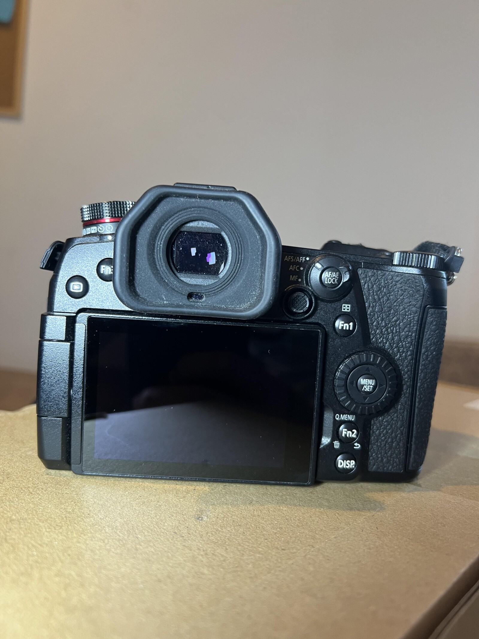 PANASONIC LUMIX G9  - Photo 2 sur 3