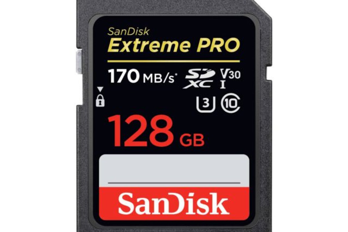 Location CARTE SD 128GO 170MB/S - Lightyshare
