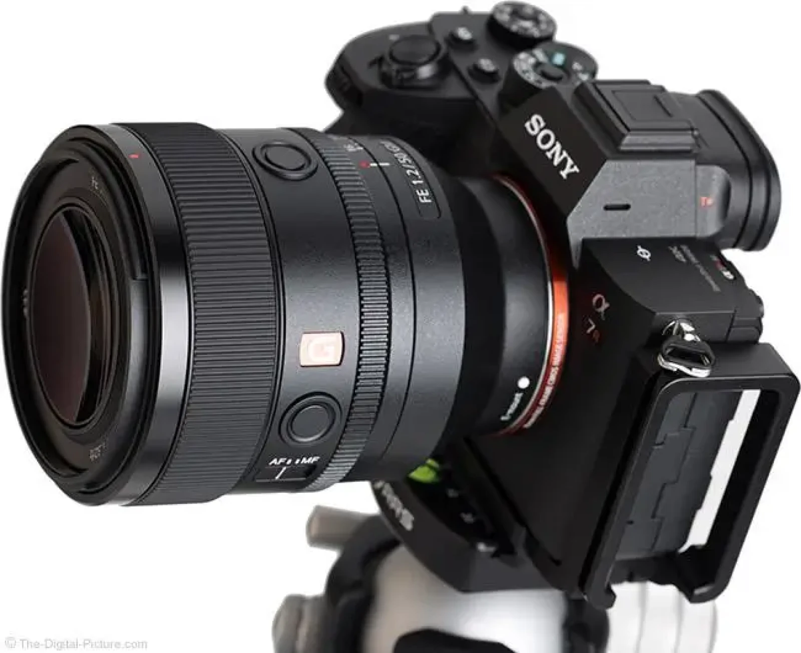 Sony FE 50mm f/1.2 GM - Photo 3 sur 4