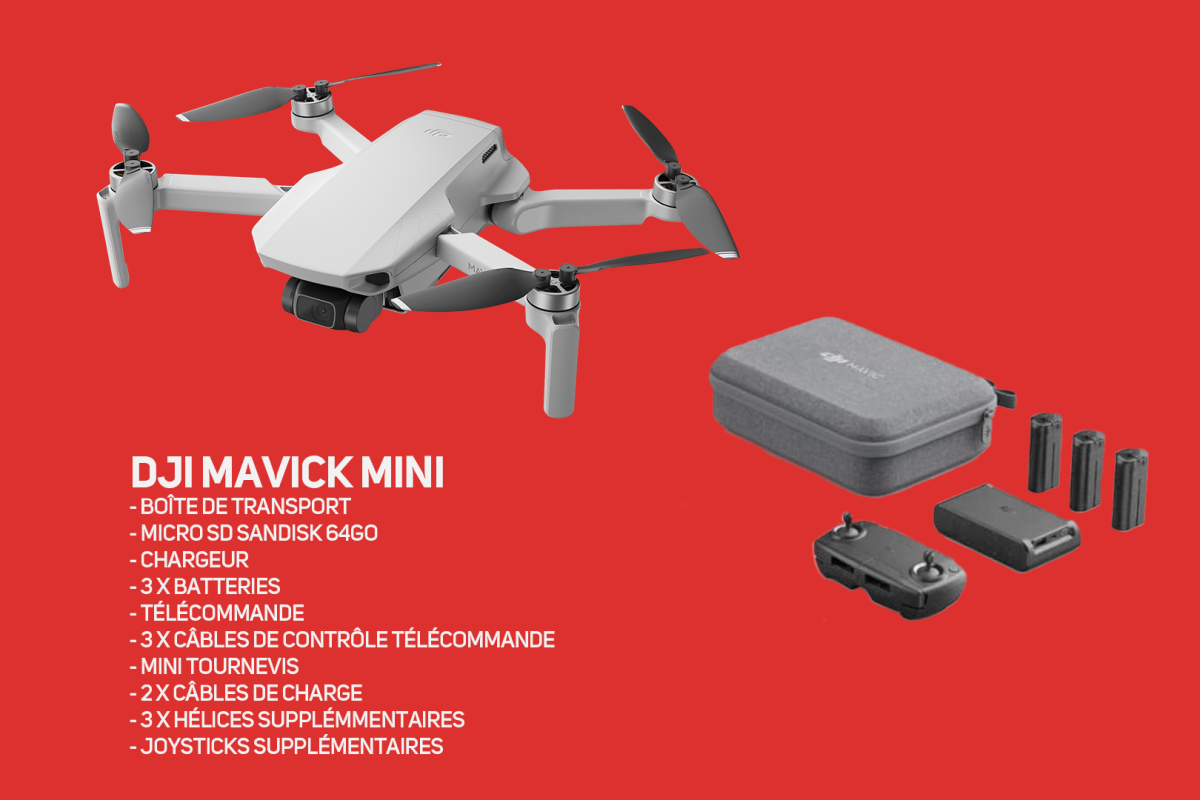 Location Drone Dji Mavic Mini  - Lightyshare