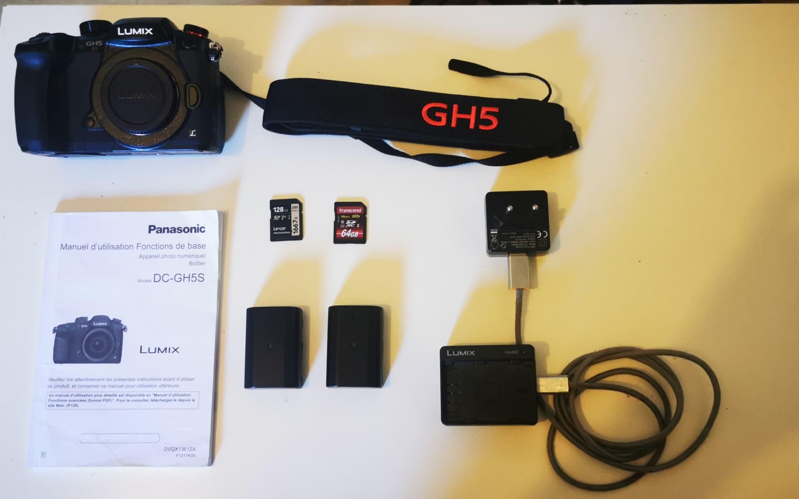 Panasonic Lumix GH5s + 2 batteries + 2 cartes SD - Photo 1 sur 2