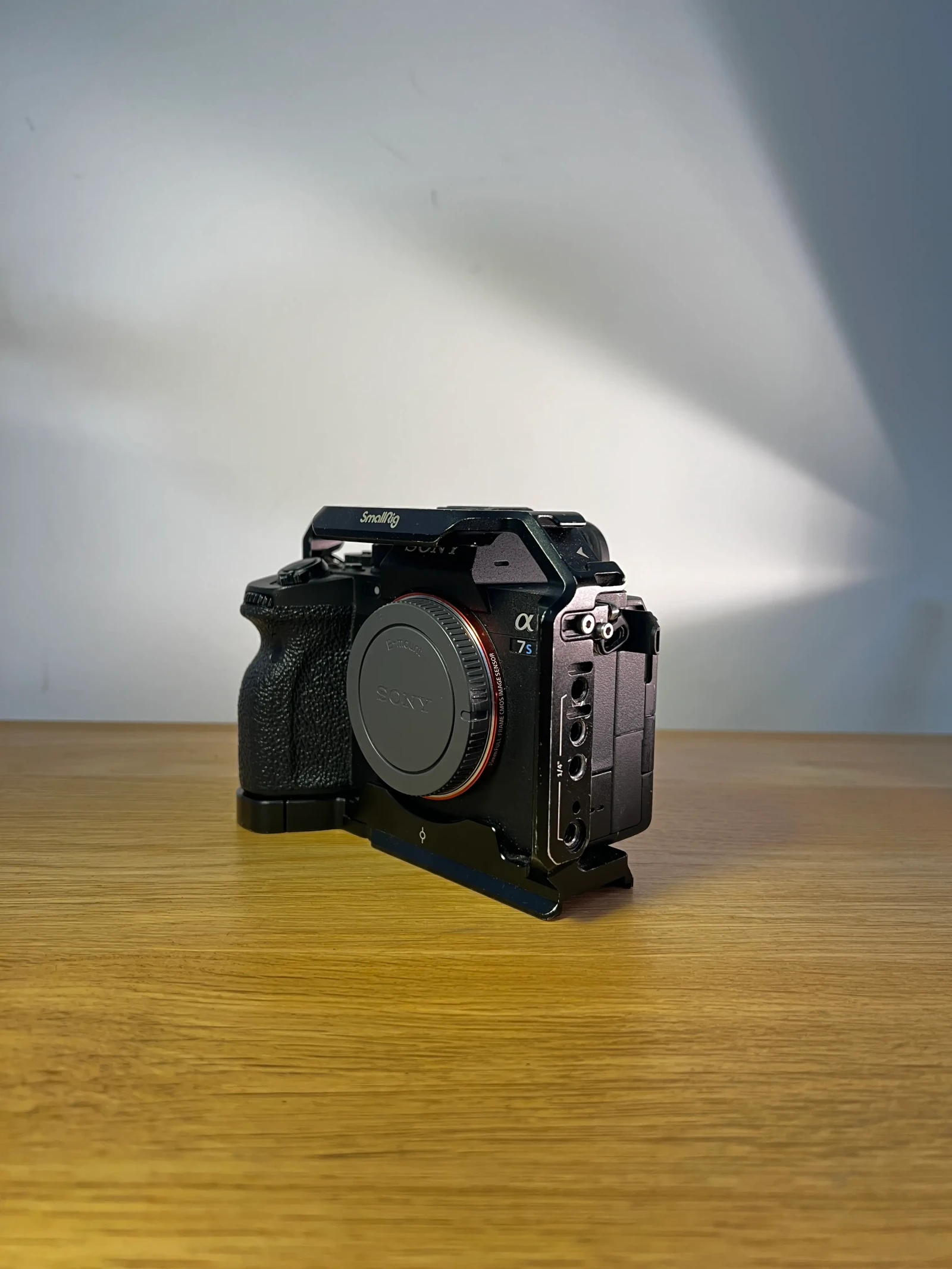 Sony Alpha 7S III (A7S3) - Photo 1 sur 1